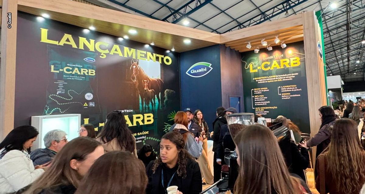Brasil ganha inovação nutricional para equinos de alta performance