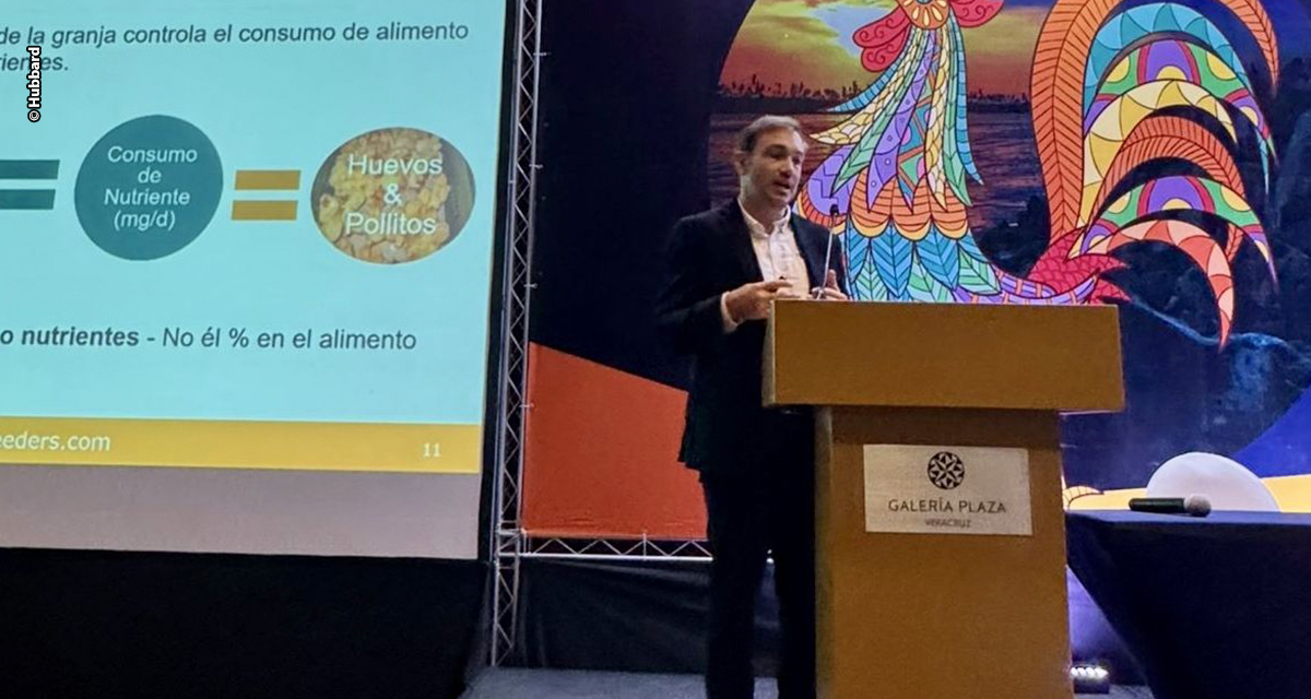 Em parceria com Grupo Neria, Hubbard destaca melhoramento genético e nutrição de matrizes no México