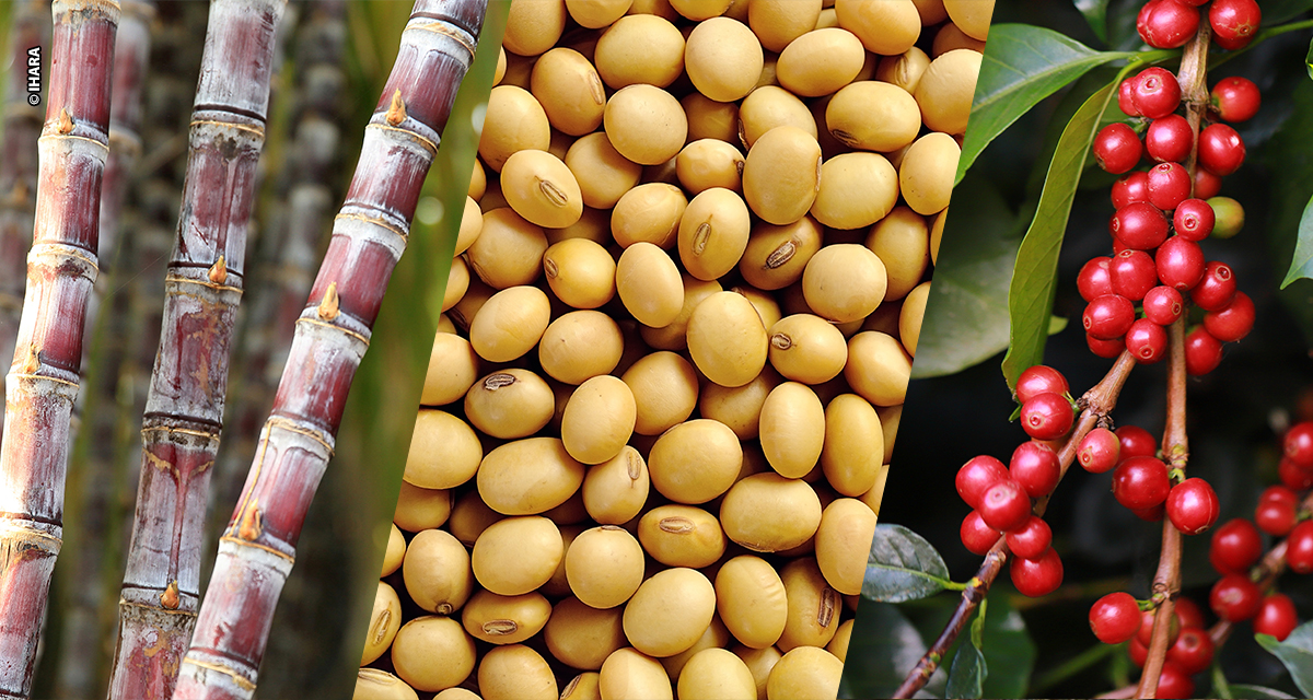 IHARA apresenta tecnologias que transformam produtividade no campo durante a Coopercitrus Expo 2025