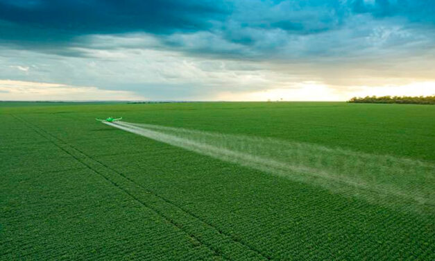 Inpasa impulsiona industrialização e geração de valor no Oeste da Bahia