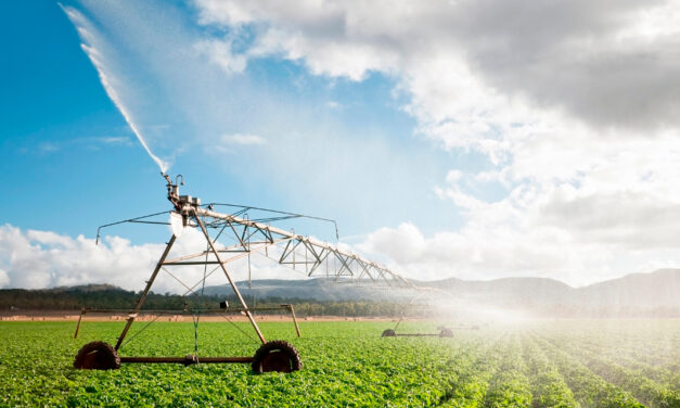 Água suja, lavoura travada: o impacto invisível na irrigação e na produtividade