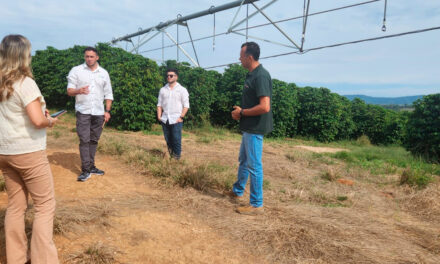 Kilimo acelera crescimento no Brasil e busca agricultores para projeto de irrigação sustentável