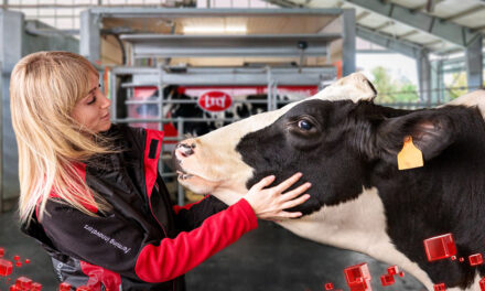 Lely apresenta inovações em ordenha robotizada durante o Future Farm Days na Holanda