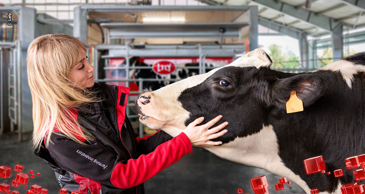 Lely apresenta inovações em ordenha robotizada durante o Future Farm Days na Holanda