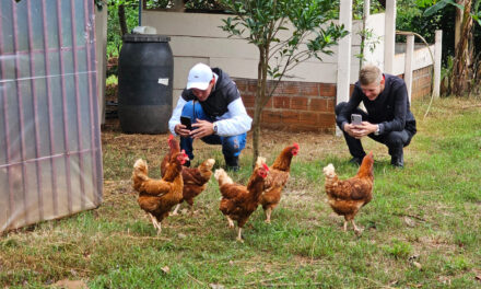 Do campo às redes: jovens rurais aprendem a contar suas histórias