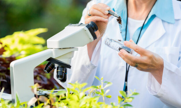 Empresas do agro se unem para desenvolver soluções biológicas para nutrição vegetal