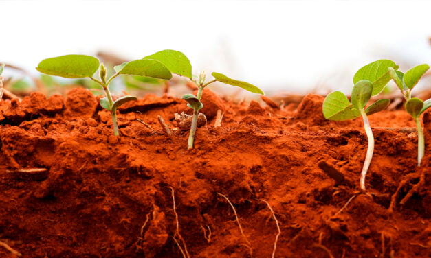 Bioinsumos impulsionam inovação e crescimento no agronegócio