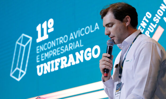 Avicultura deve encerrar 2025 em crescimento após caso de influenza aviária no Rio Grande do Sul