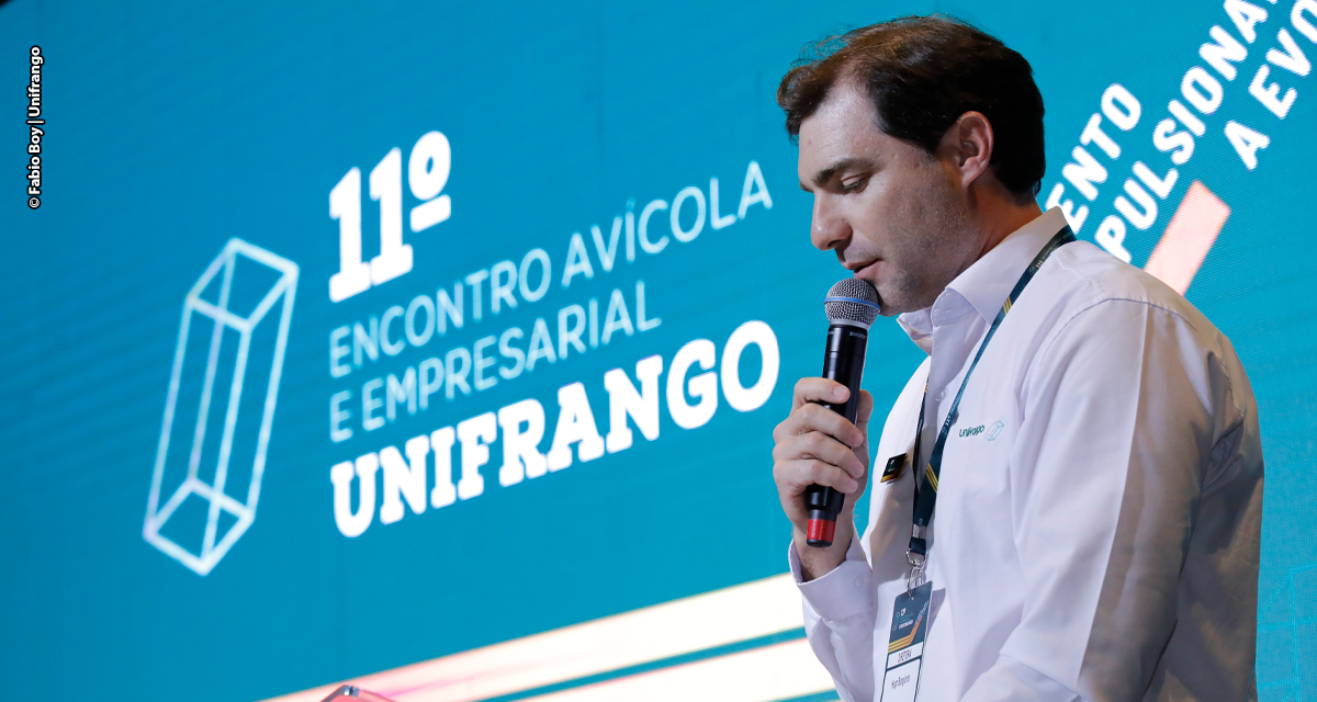 Avicultura deve encerrar 2025 em crescimento após caso de influenza aviária no Rio Grande do Sul