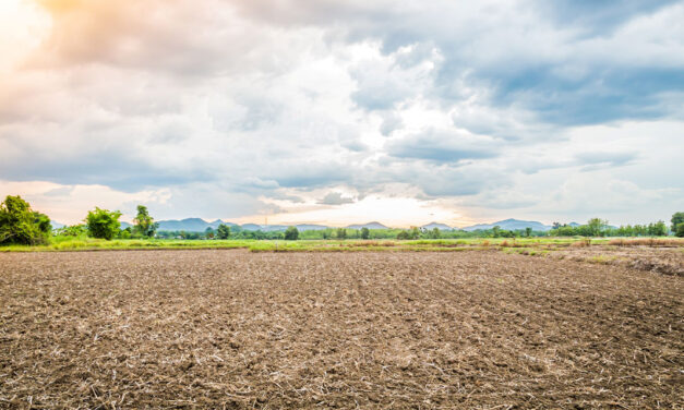 Investimento verde: terras improdutivas estão se tornando oportunidade para agtechs e investidores do agro
