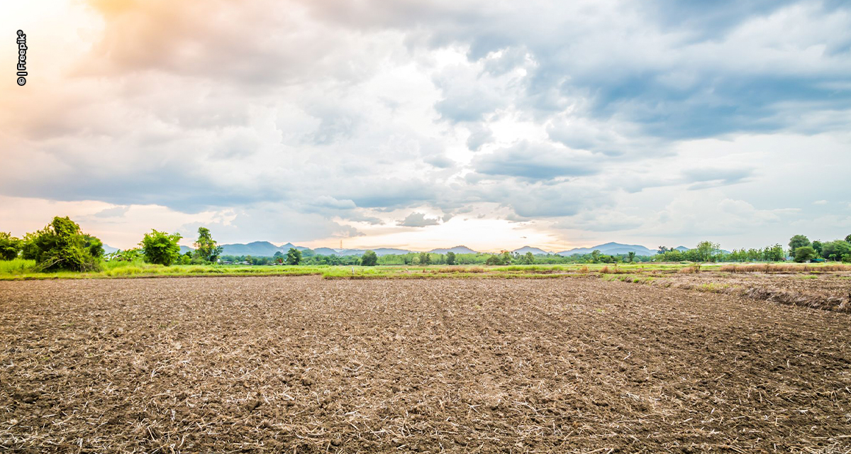 Investimento verde: terras improdutivas estão se tornando oportunidade para agtechs e investidores do agro