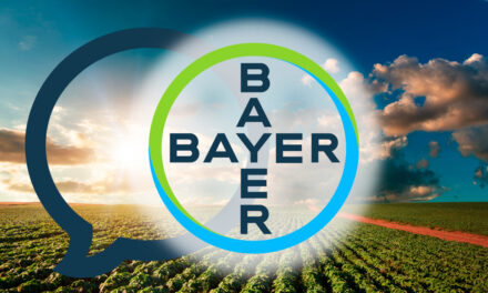 Em Foco: a nova estratégia de comunicação da Bayer para lidar com tempos de excesso