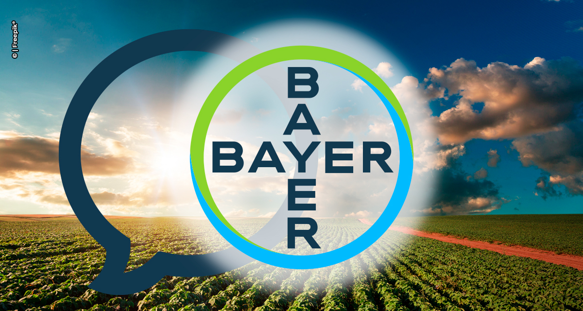 Em Foco: a nova estratégia de comunicação da Bayer para lidar com tempos de excesso