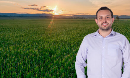 Preços internacionais pressionam produtores brasileiros de milho