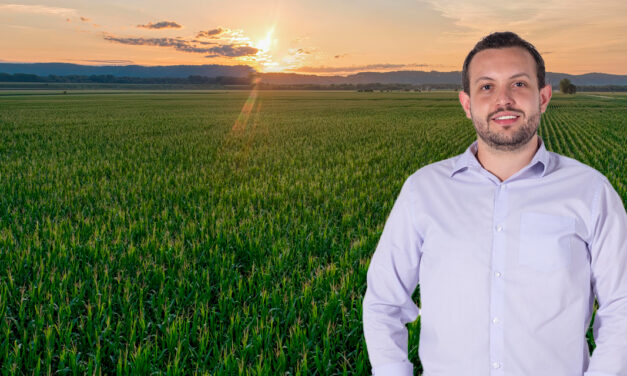 Preços internacionais pressionam produtores brasileiros de milho