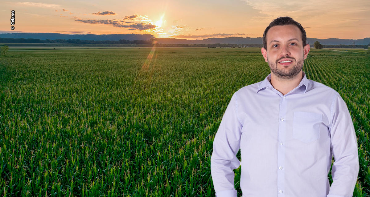 Preços internacionais pressionam produtores brasileiros de milho