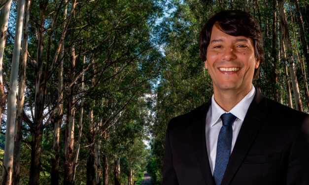 O impacto da indústria de celulose no Estado de Mato Grosso do Sul