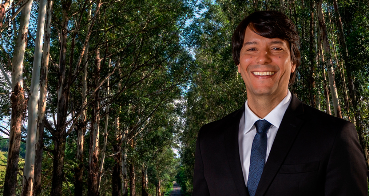 O impacto da indústria de celulose no Estado de Mato Grosso do Sul