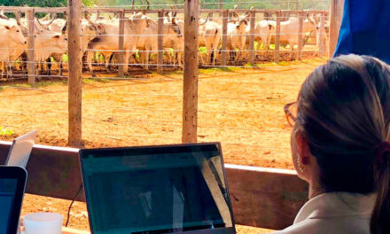 Na 18ª ExpoGenética:  2º Fórum Genético Melhora+ destaca estratégias e o equilíbrio do melhoramento bovino