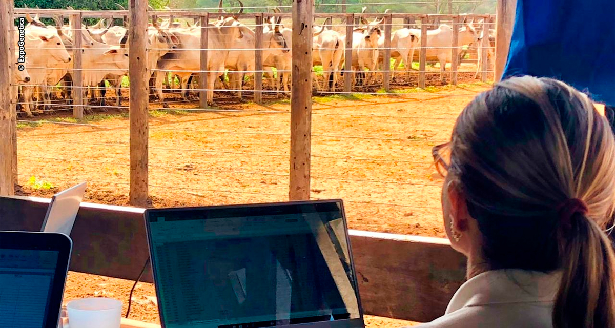 Na 18ª ExpoGenética:  2º Fórum Genético Melhora+ destaca estratégias e o equilíbrio do melhoramento bovino