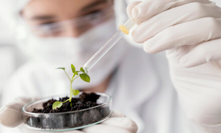 Equilíbrio nutricional se torna chave para sustentar altas produtividades no campo