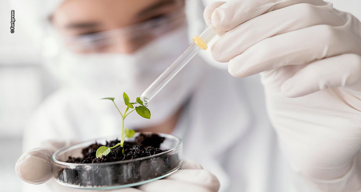 Equilíbrio nutricional se torna chave para sustentar altas produtividades no campo