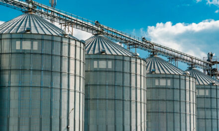 Produção de proteínas exige atenção à qualidade dos grãos, alerta especialista da Kemin