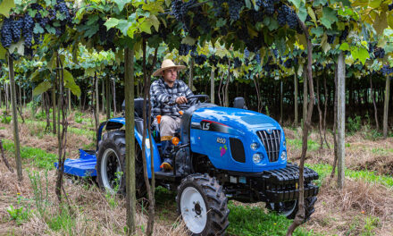 Agricultura familiar ganha protagonismo durante a Expointer