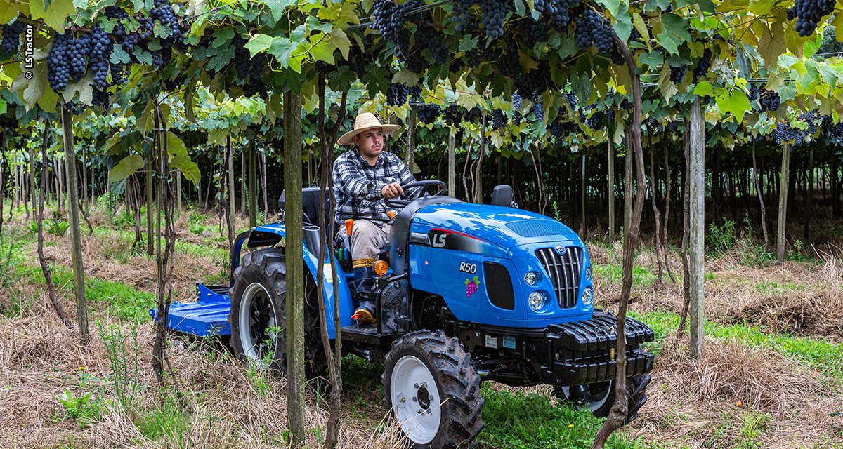 Agricultura familiar ganha protagonismo durante a Expointer