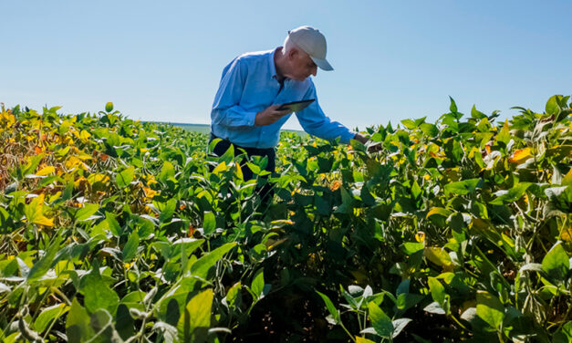 Inoculantes de alta performance elevam eficiência das lavouras e antecipam nova era para a agricultura brasileira