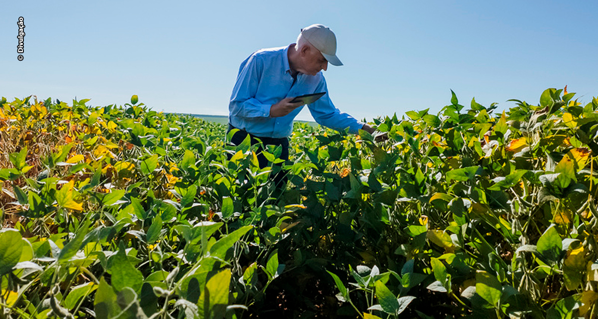 Inoculantes de alta performance elevam eficiência das lavouras e antecipam nova era para a agricultura brasileira