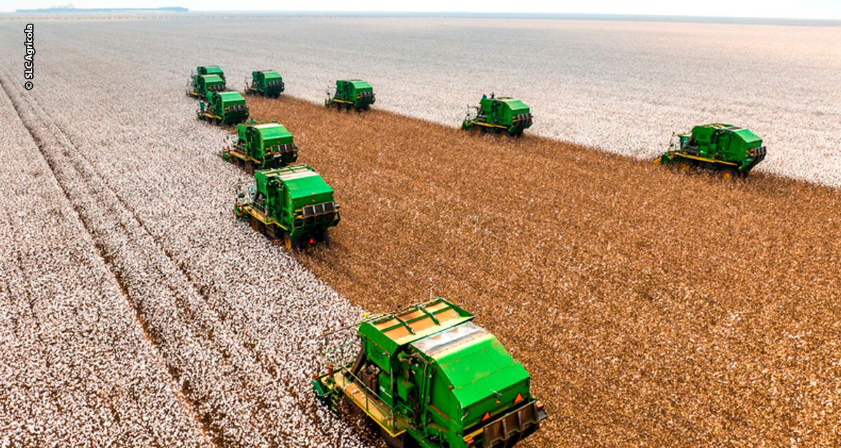 SLC Agrícola alcança receita recorde de R$ 4,2 bilhões no 1º semestre de 2025
