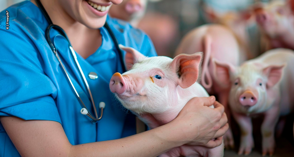 Zoetis apresenta conceito “Dose Reforço” no SBSS 2025 e reforça compromisso com a saúde respiratória e o desempenho dos suínos