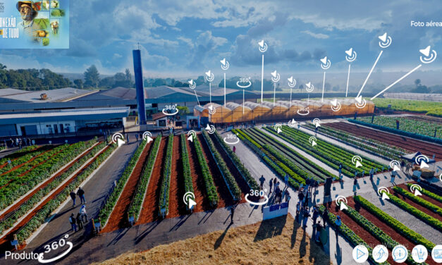 Dia de Campo ganha versão virtual e conecta produtores às novidades da horticultura