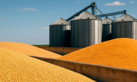 Apesar de alta do PIB do agro, gargalos estruturais ameaçam competitividade
