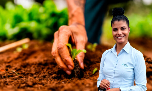 Biorremediação ganha espaço no campo como alternativa para mitigar efeitos de defensivos agrícolas no solo