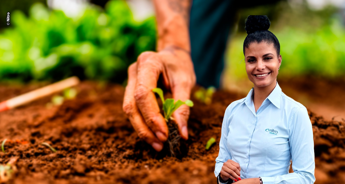 Biorremediação ganha espaço no campo como alternativa para mitigar efeitos de defensivos agrícolas no solo