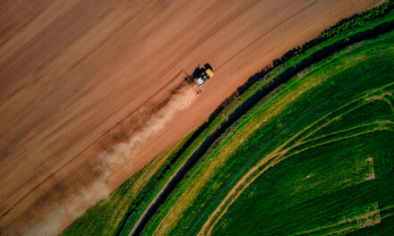 Como a o9 Solutions está transformando as operações do agronegócio no Brasil com IA e tomada de decisão integrada