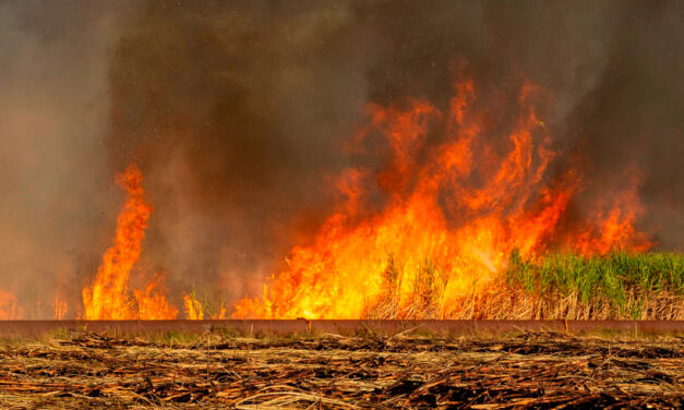 Raízen e fornecedores fortalecem ações contra incêndios em canaviais diante de desafios climáticos