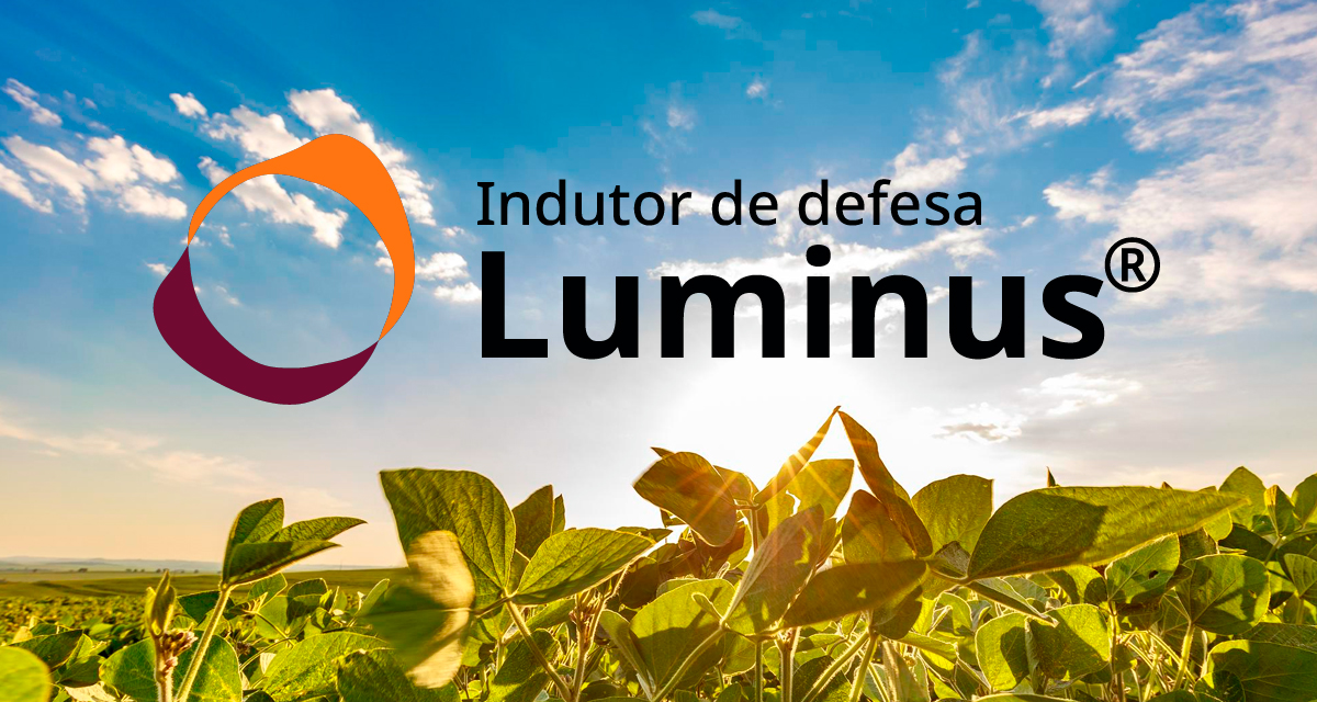 UPL Brasil lança indutor de defesa Luminus para proteção inteligente de doenças da soja e do milho