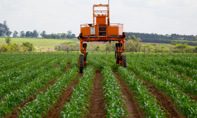 Solução tecnológica à base de ozônio promete aumentar em até 80% a produtividade e reduzir em até 90% as perdas na cadeia agroindustrial