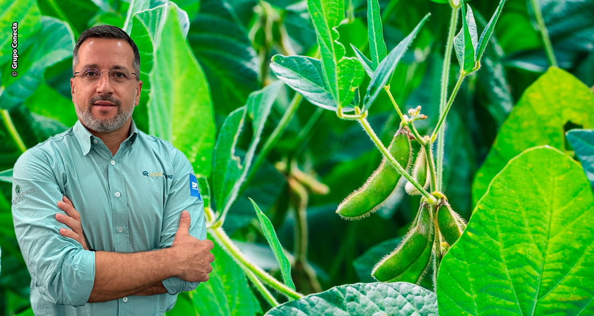 Manejo antecipado de plantas invasoras será importante para a safra de soja 2025/26