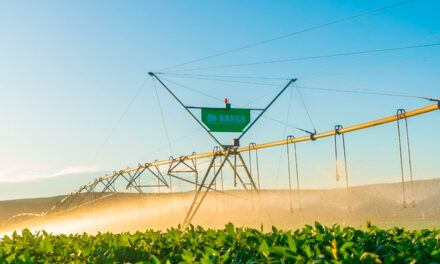 Bauer do Brasil, em parceria com Itaú, lança primeiro CRA exclusivo para irrigação