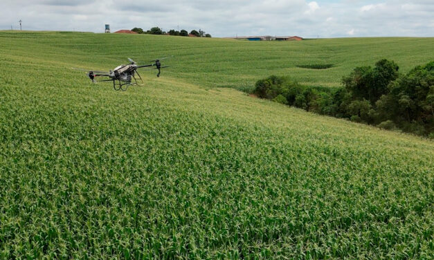 AP Castrolanda: nova marca amplia tecnologia e soluções no campo para cooperados