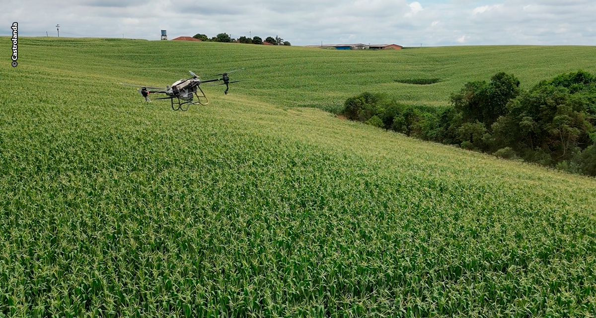 AP Castrolanda: nova marca amplia tecnologia e soluções no campo para cooperados