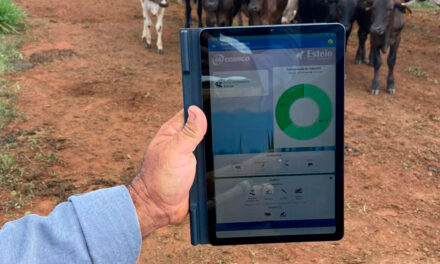 Gestão inteligente impulsiona negócios no campo: software de gestão pecuária Esteio cresce quatro vezes “de tamanho” e já atende fazendas em todos os estados brasileiros e países da América Latina
