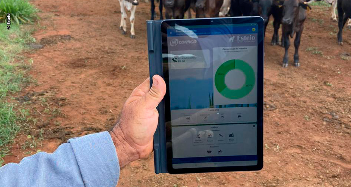 Gestão inteligente impulsiona negócios no campo: software de gestão pecuária Esteio cresce quatro vezes “de tamanho” e já atende fazendas em todos os estados brasileiros e países da América Latina