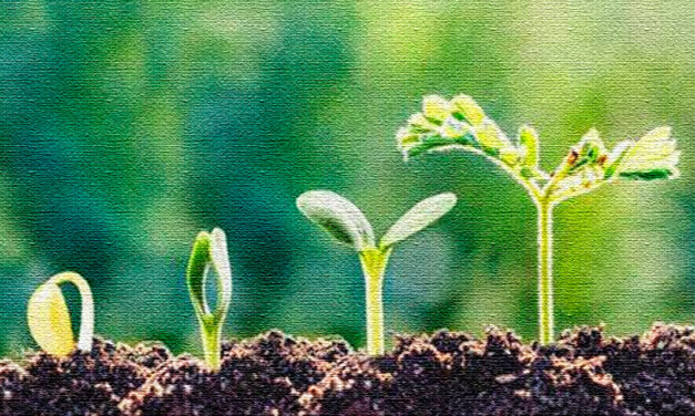 Estratégias de mercado no uso de bioinsumos para o produtor rural movimentam setor