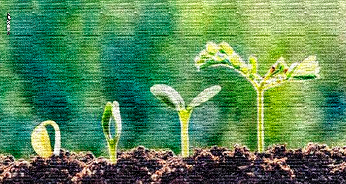 Estratégias de mercado no uso de bioinsumos para o produtor rural movimentam setor