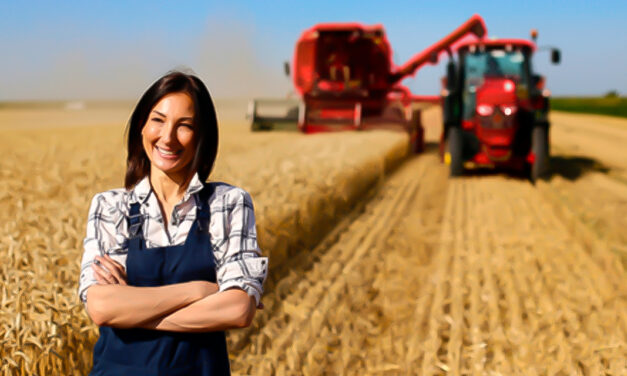 Agronegócio brasileiro avança na geração de empregos e qualificação profissional